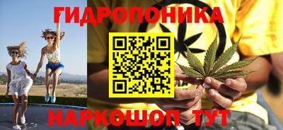 сатива Коммунар
