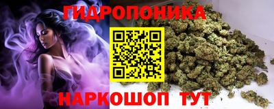 сатива Коммунар