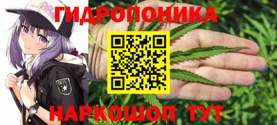 сатива Коммунар